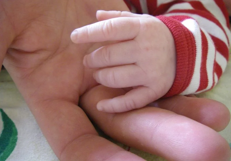 Vuxen hand som håller ett litet barns hand